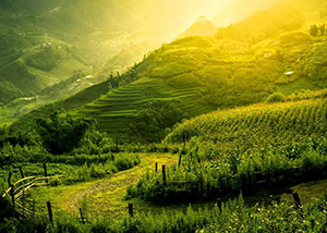 Top 10 amazing places in Vietnam